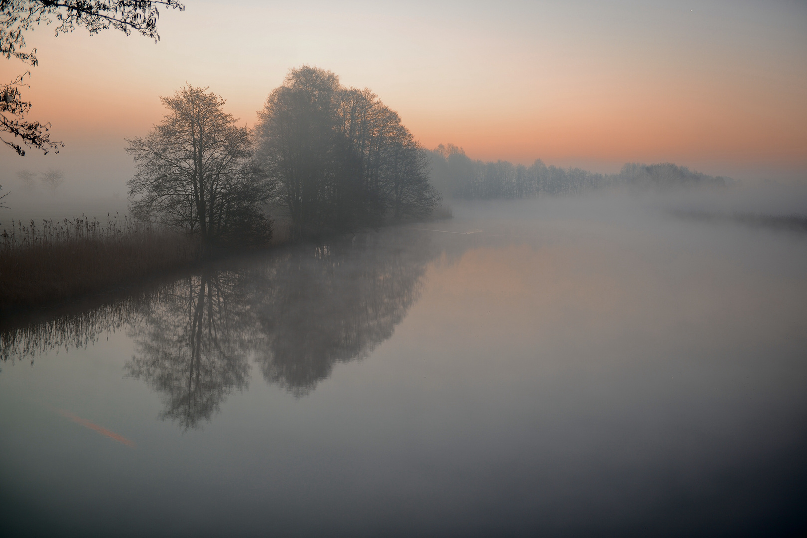 Morgens am Reihersee nahe Lüneburg