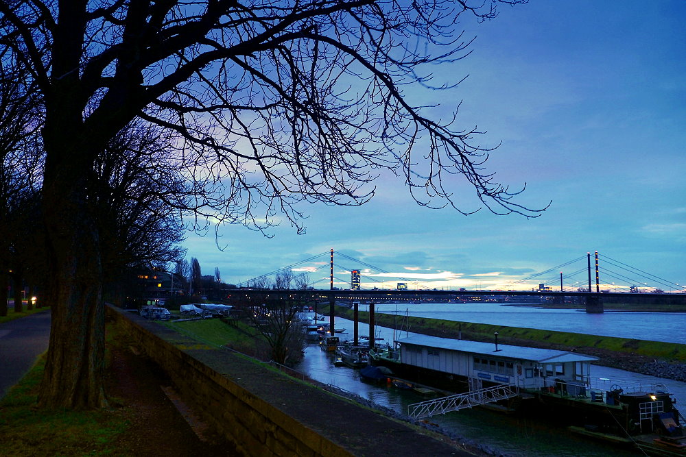 Morgens am Rhein