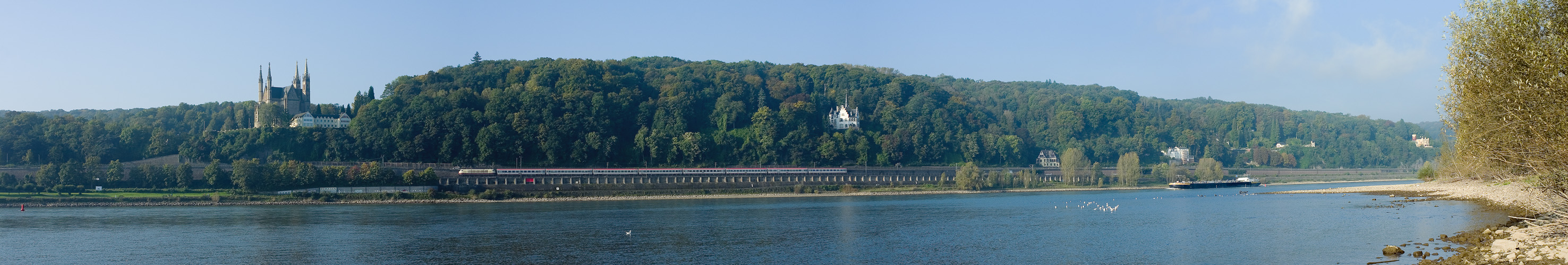 Morgens am Rhein