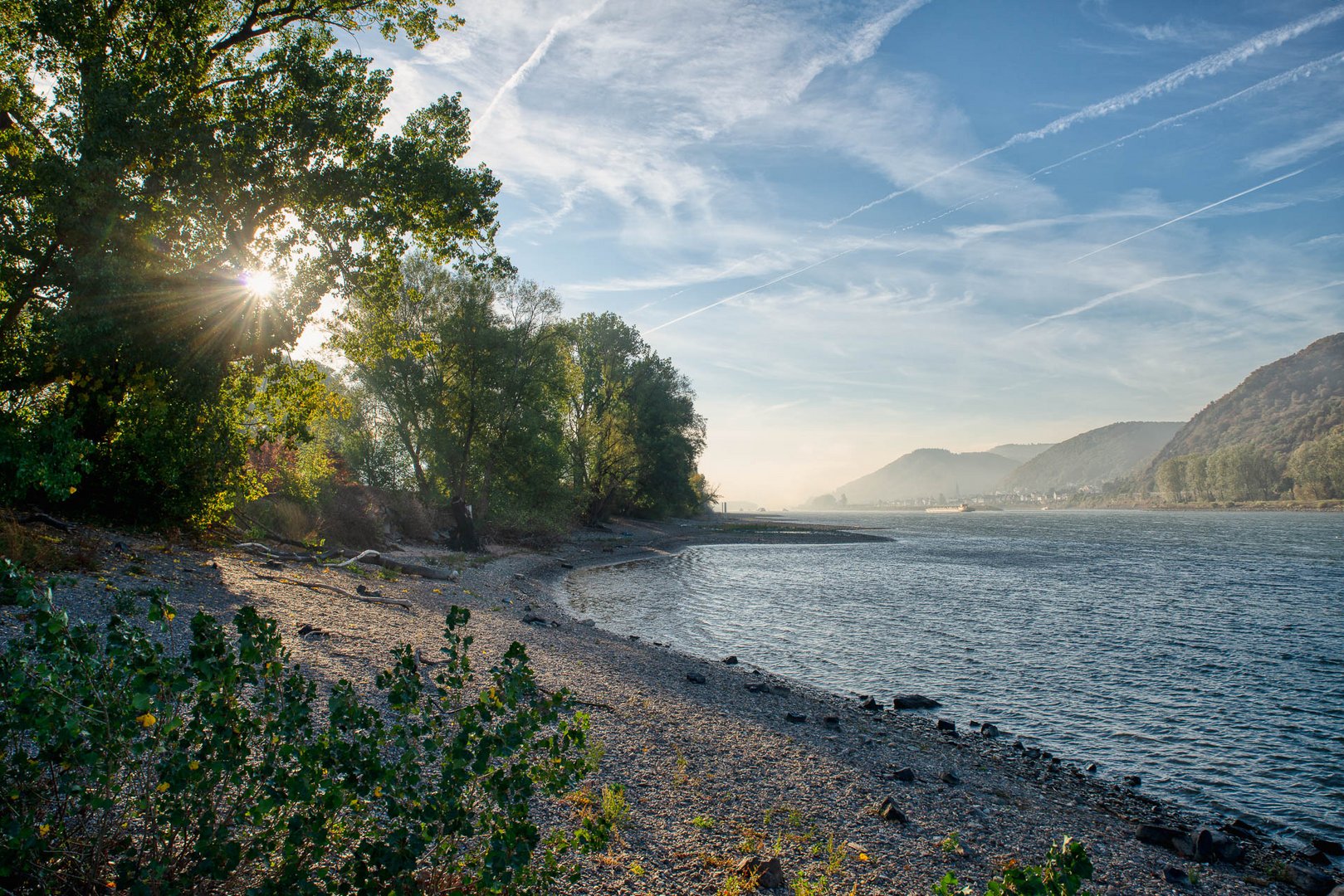 Morgens am Rhein