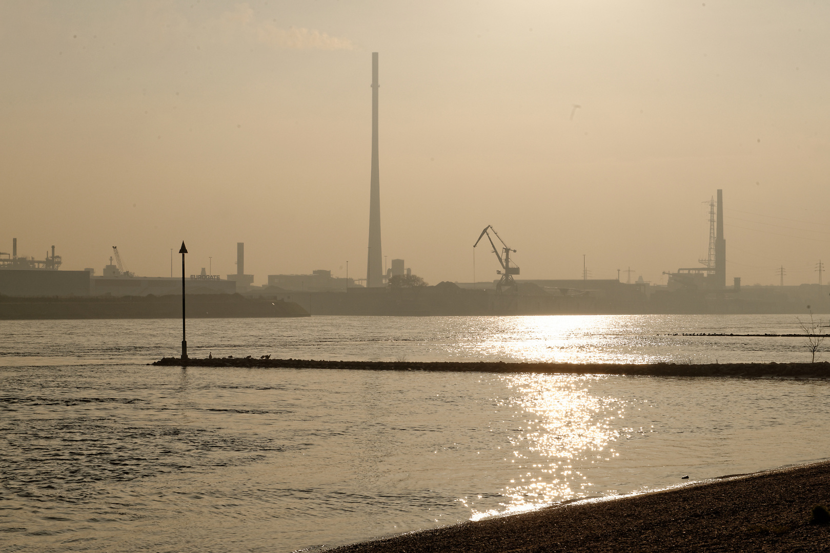 morgens am Rhein