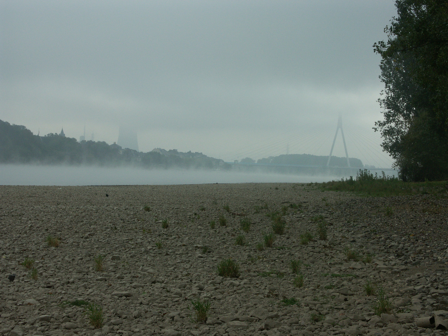 Morgens am Rhein