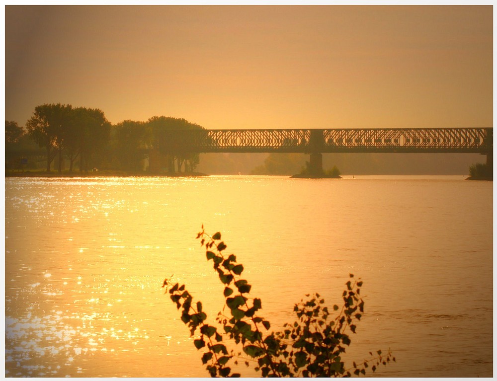 Morgens am Rhein