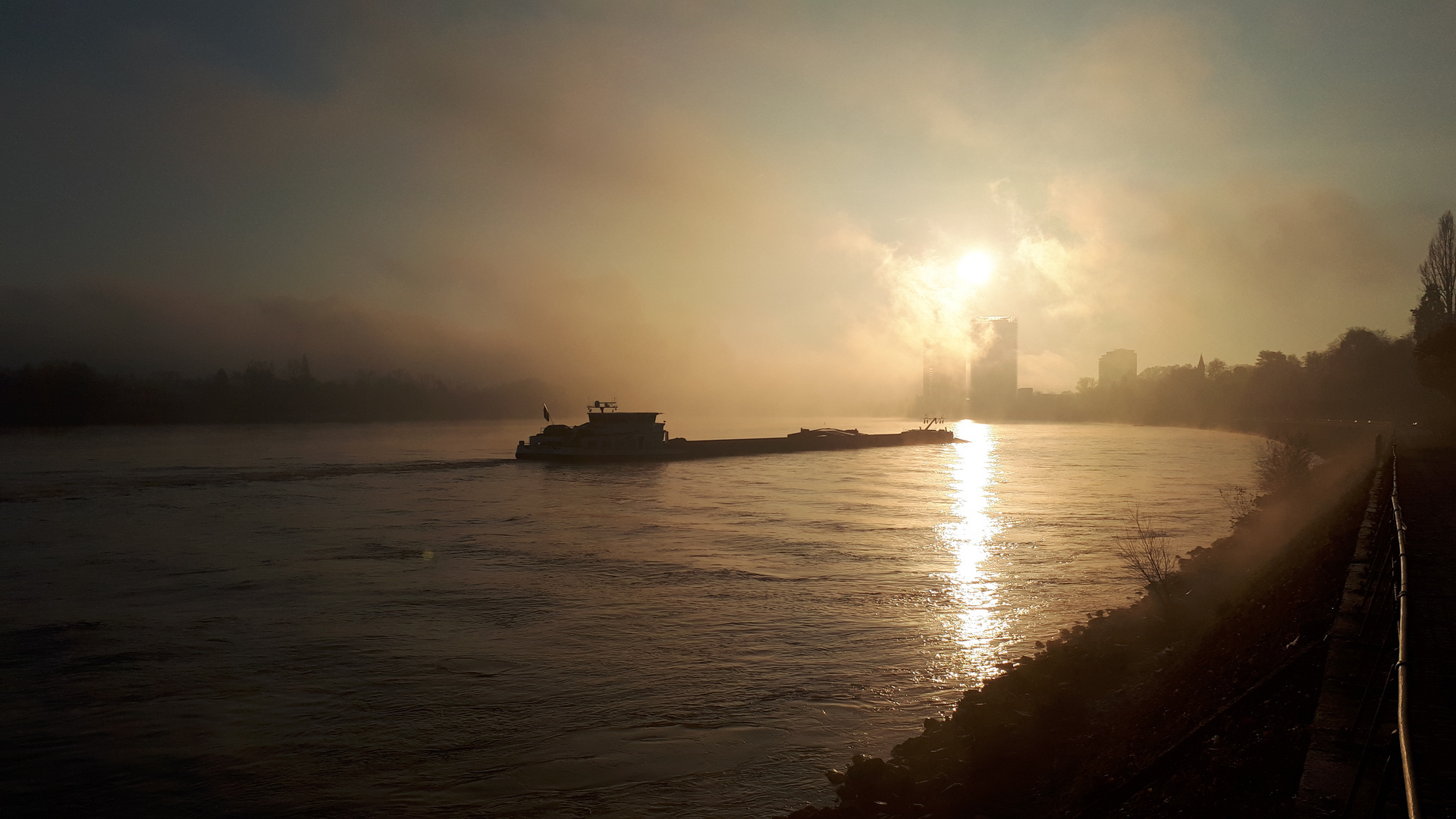 Morgens am Rhein in Bonn