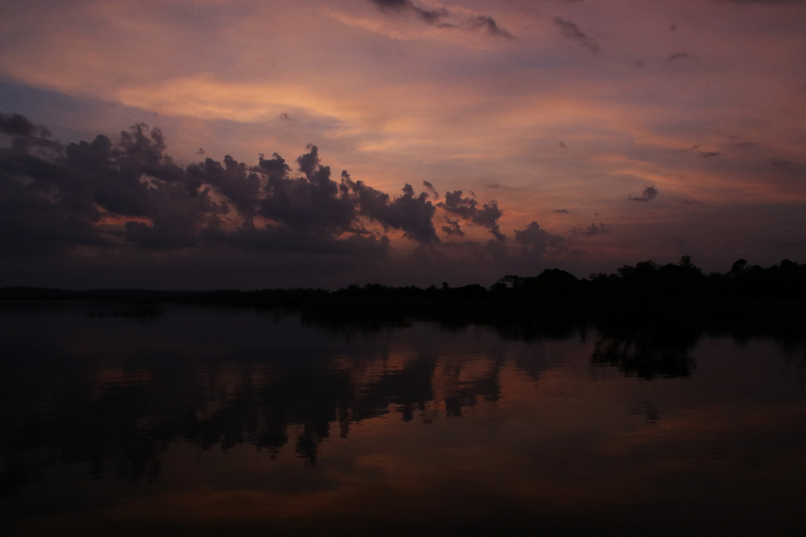 morgens am Rio Negro