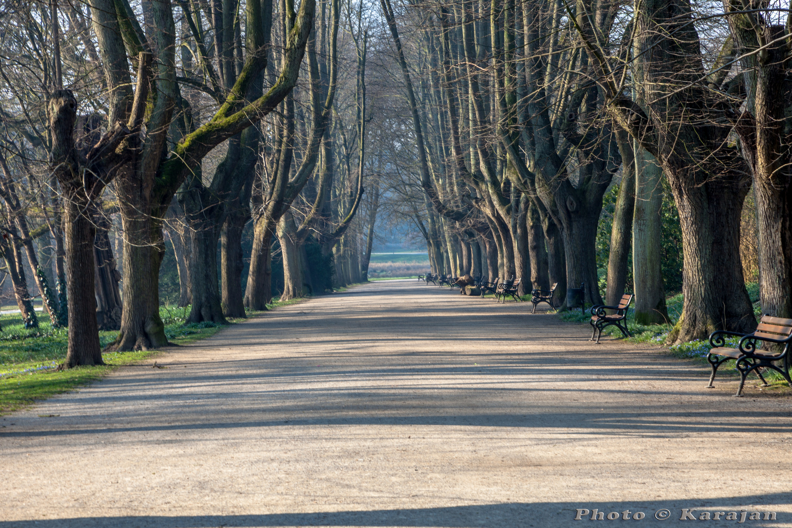 Morgens am Rombergpark