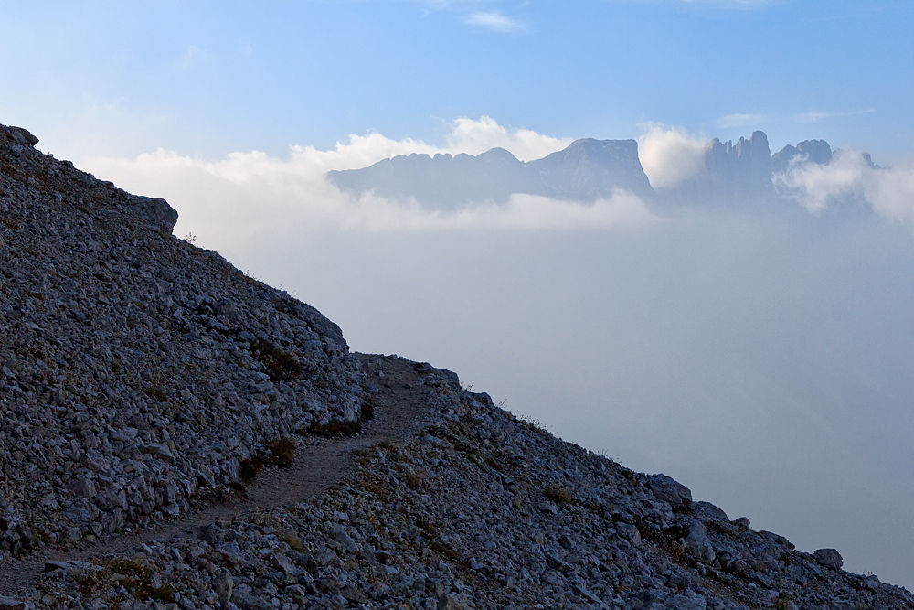 Morgens am Rosengarten