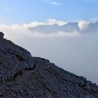 Morgens am Rosengarten