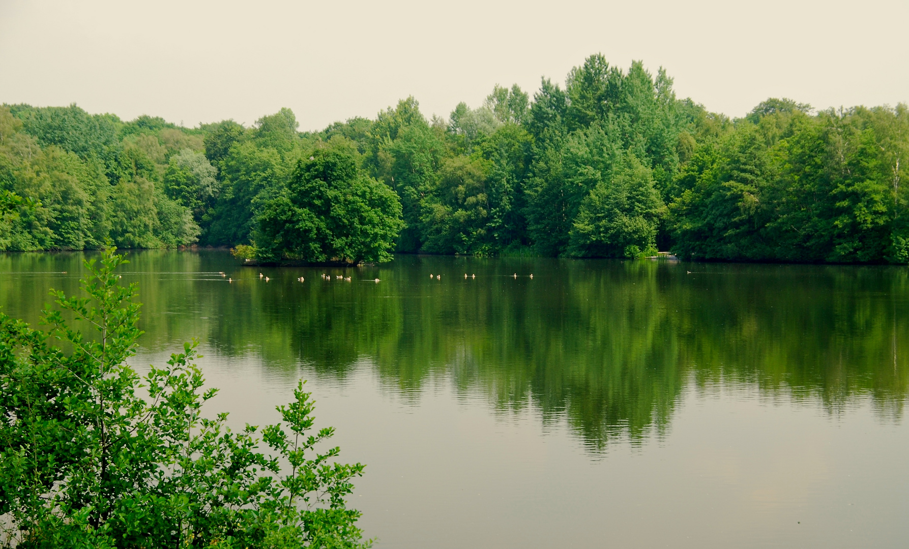 Morgens am Rotbachsee.....