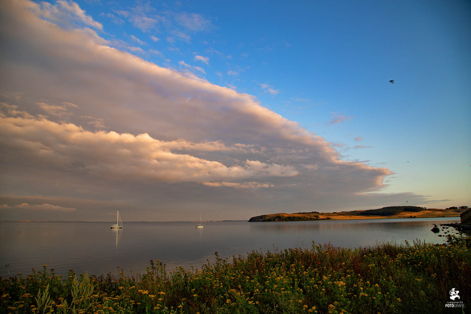 Morgens am Rügischen Bodden ...