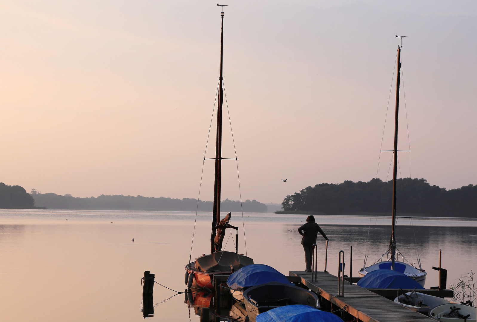 morgens am schaalsee