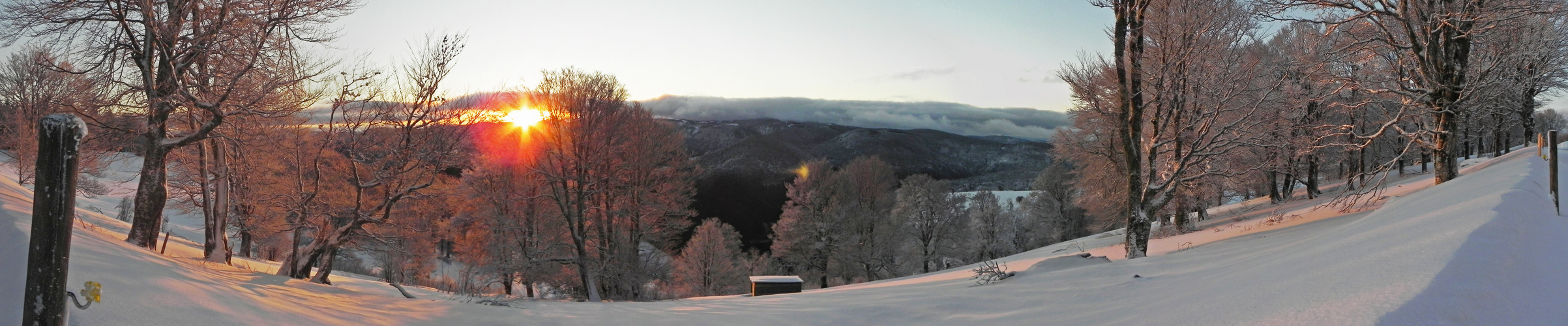 Morgens am Schauinsland II