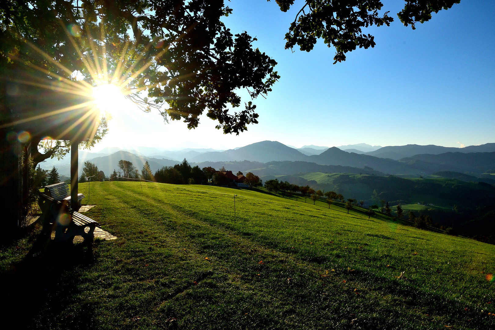 Morgens am Schobersberg