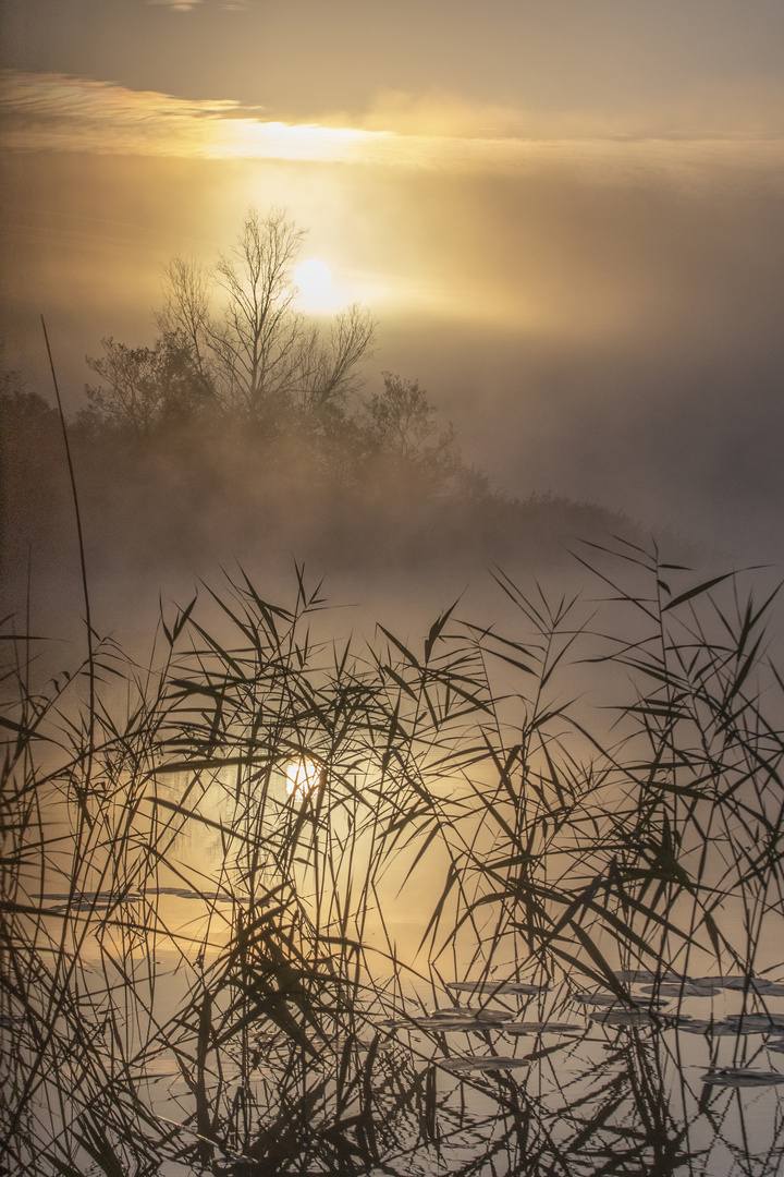 Morgens am Schreckensee