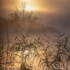 Morgens am Schreckensee