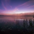 Morgens am Schreckensee