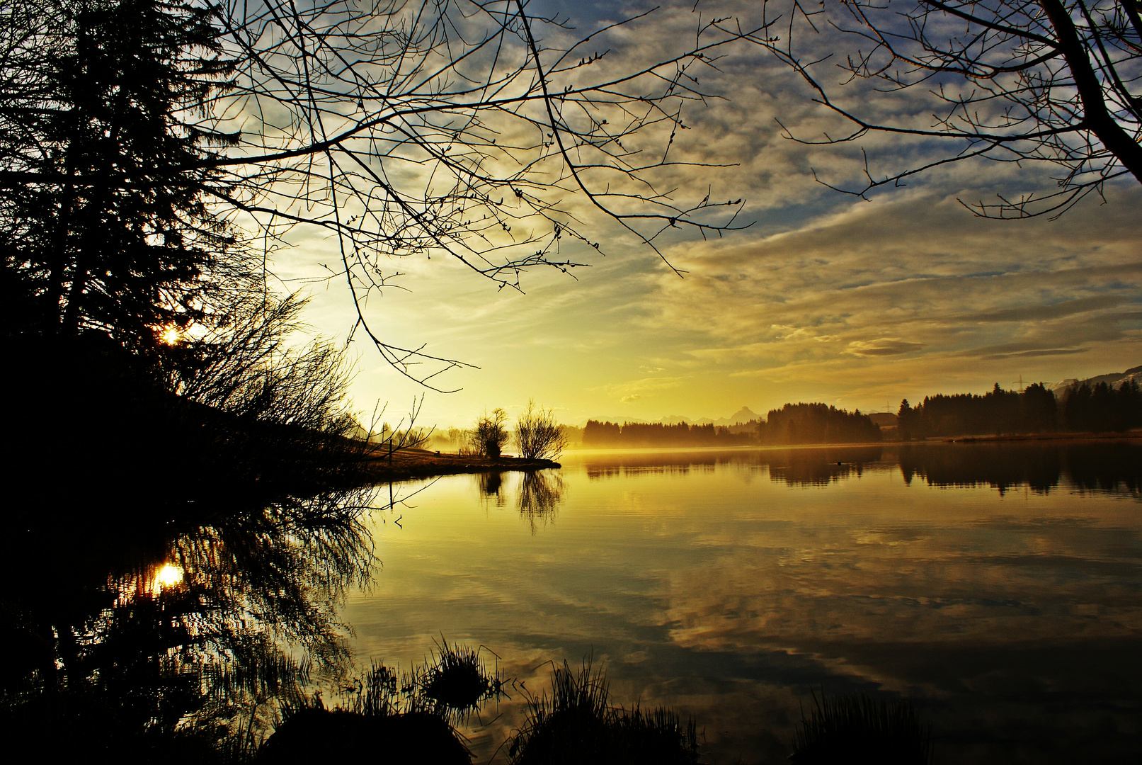 morgens am Schwarzenbergerweiher