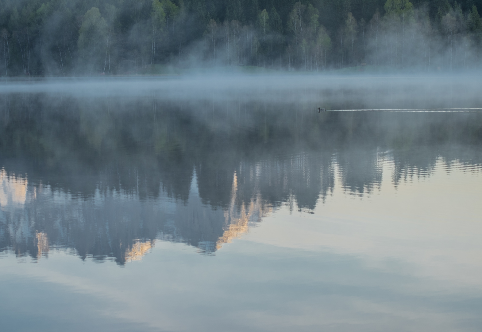 Morgens am Schwarzsee