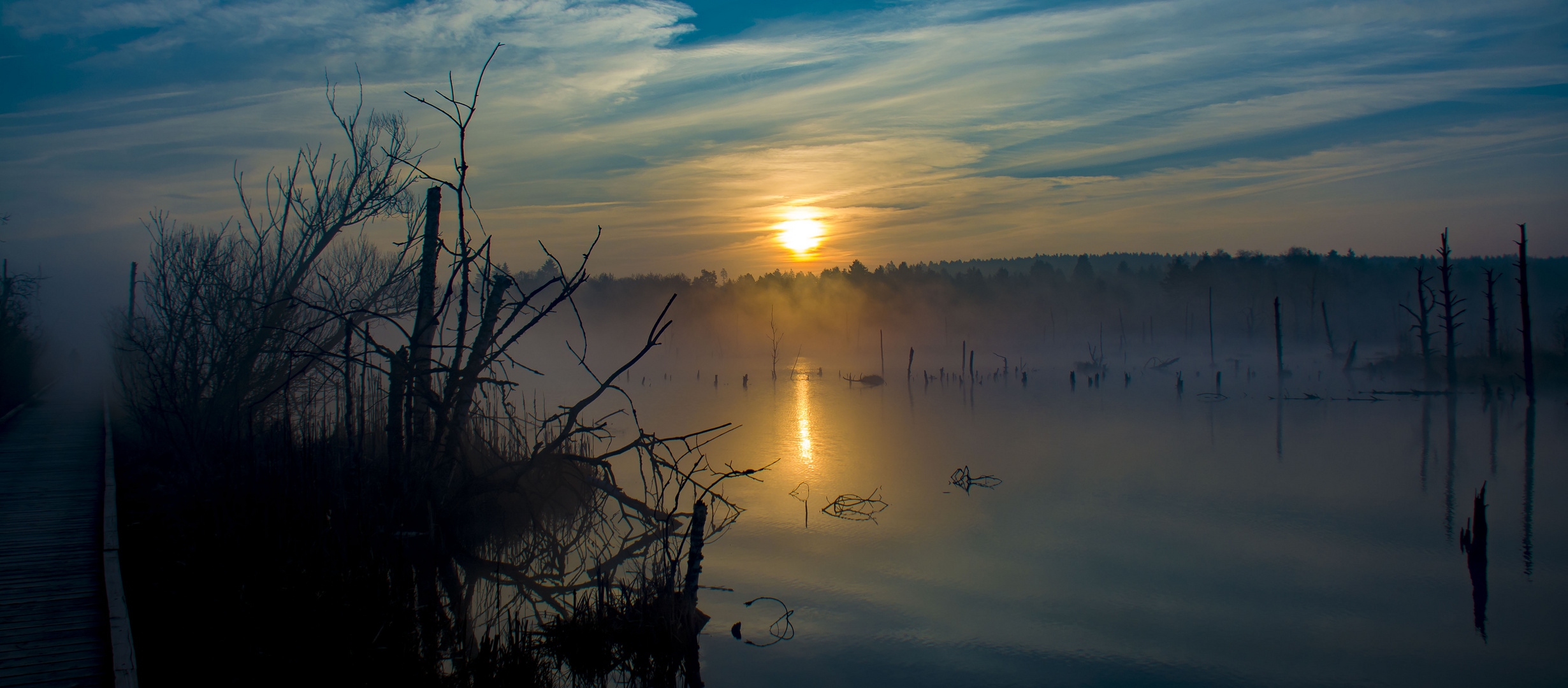 Morgens am Schwenningen - Moos 