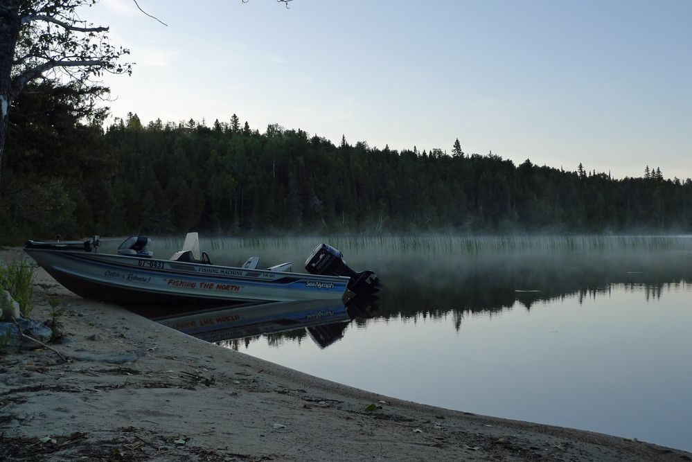 Morgens am See....