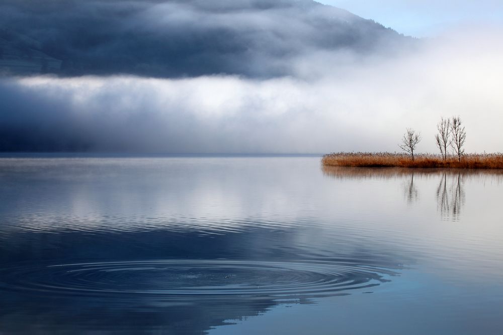 morgens am See