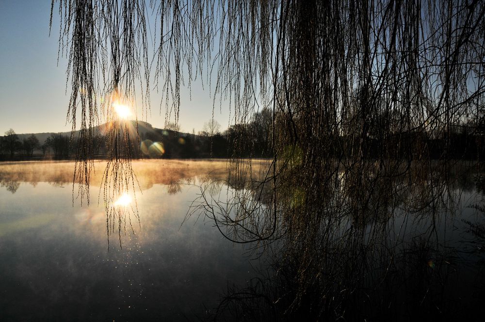 Morgens am See