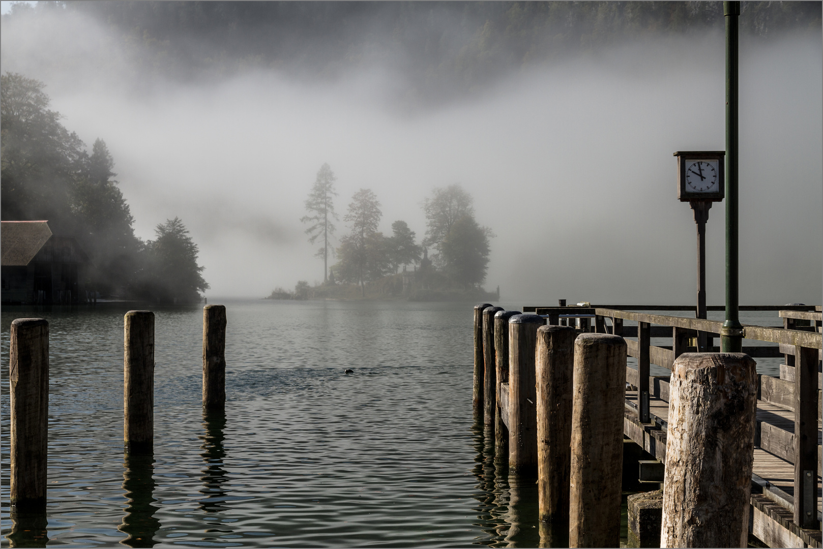 Morgens am See