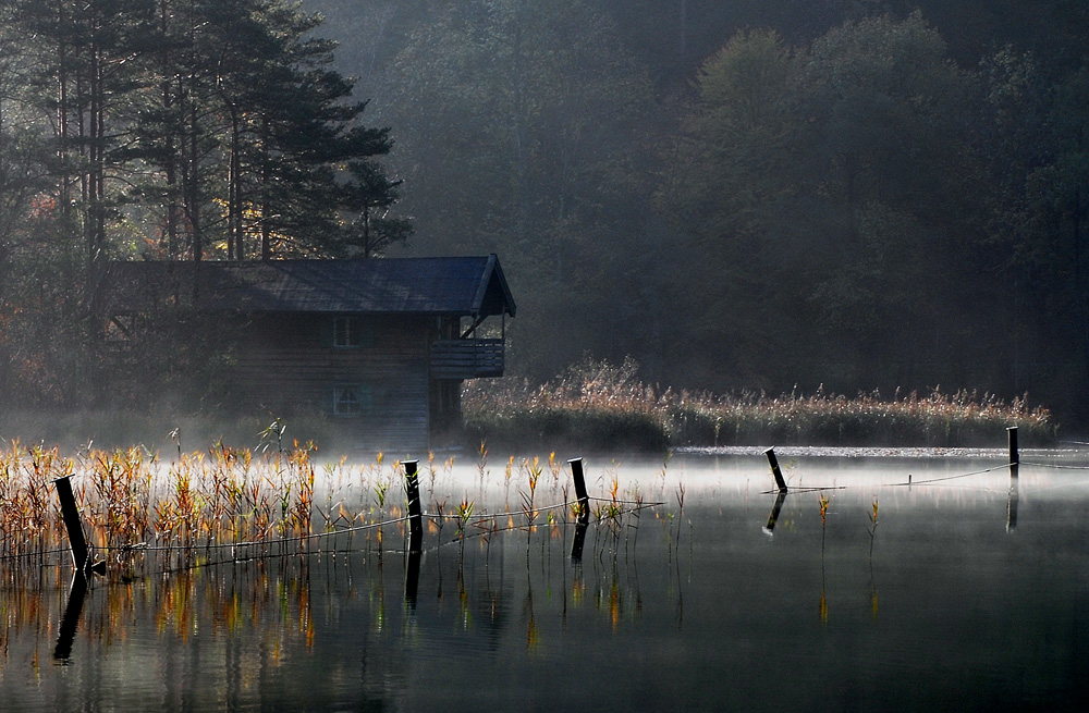 Morgen´s am See