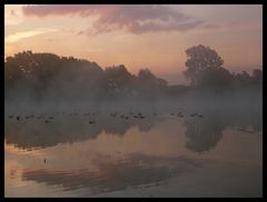 Morgens am See