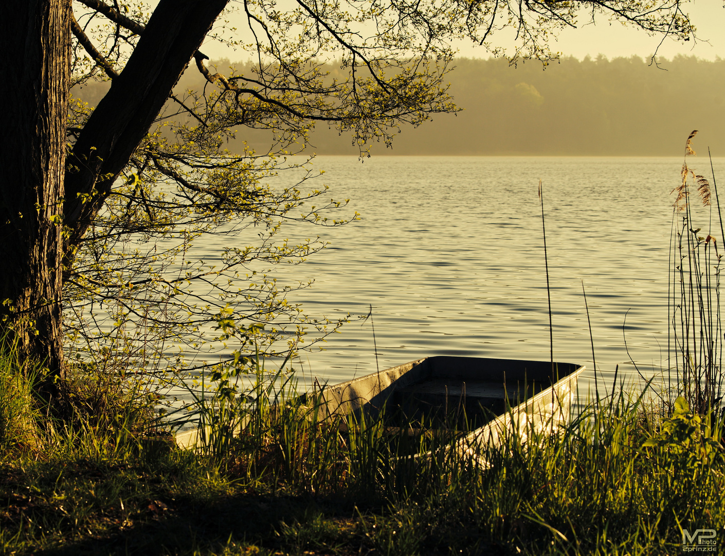 Morgens am See 2