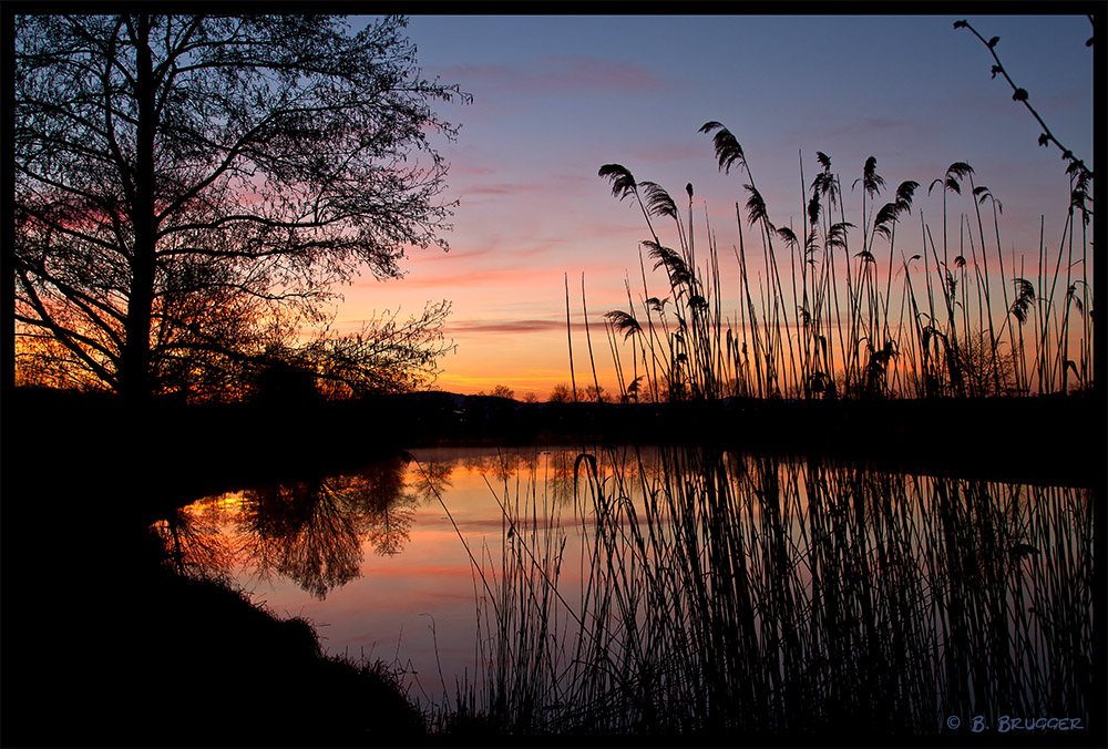 Morgens am See 2