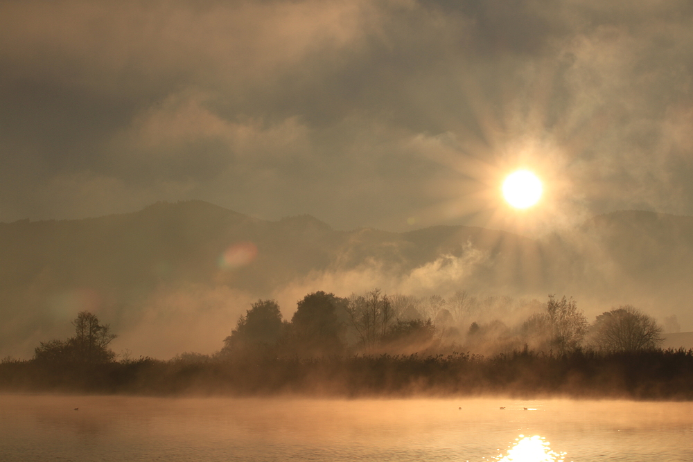 Morgens am See 3