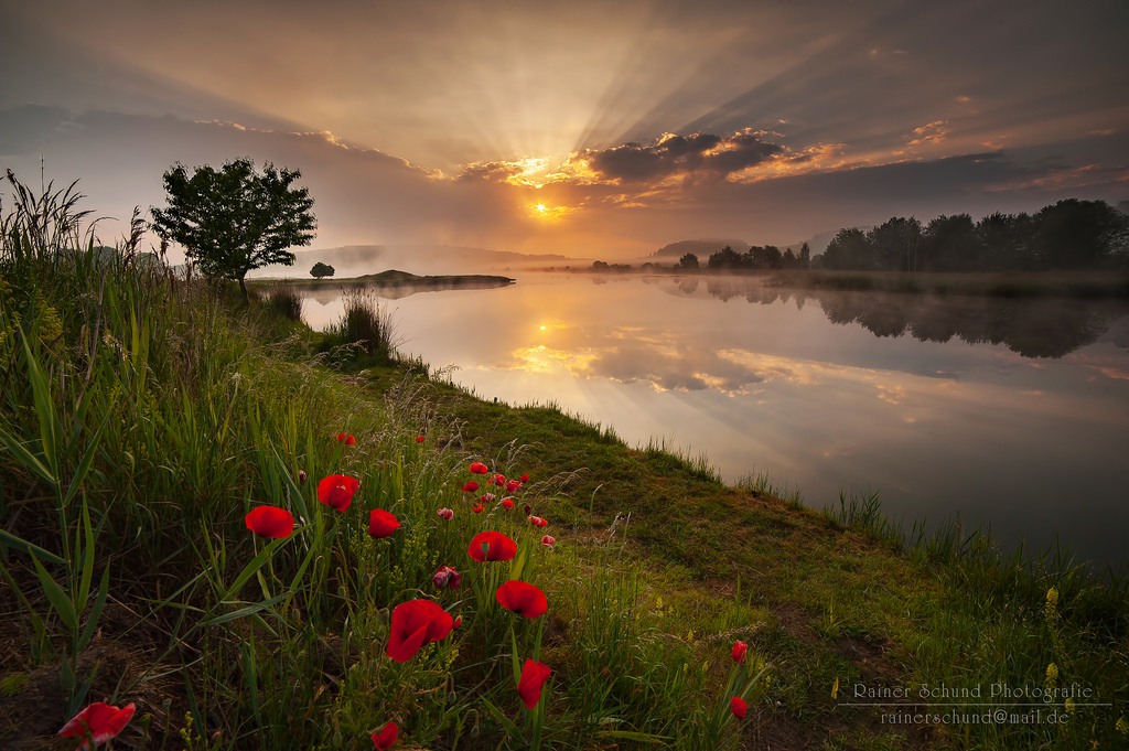 Morgens am See