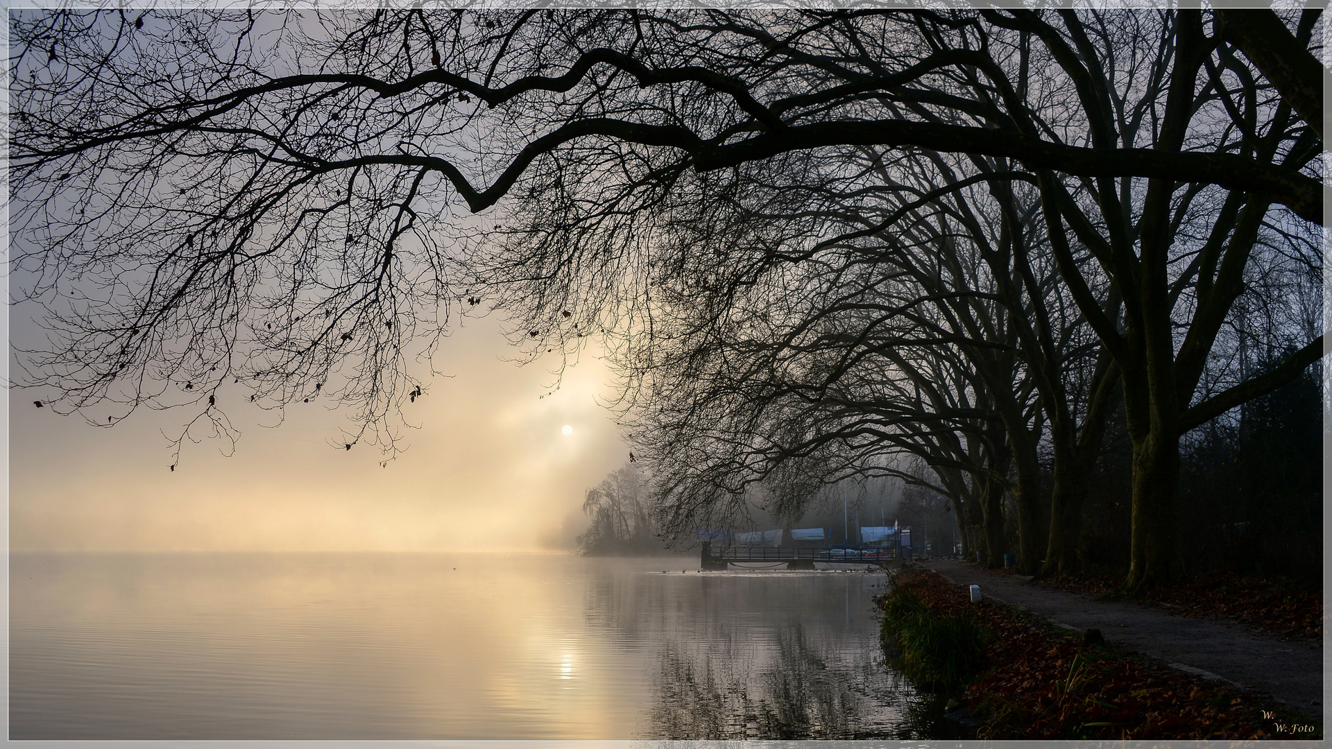 Morgens am See