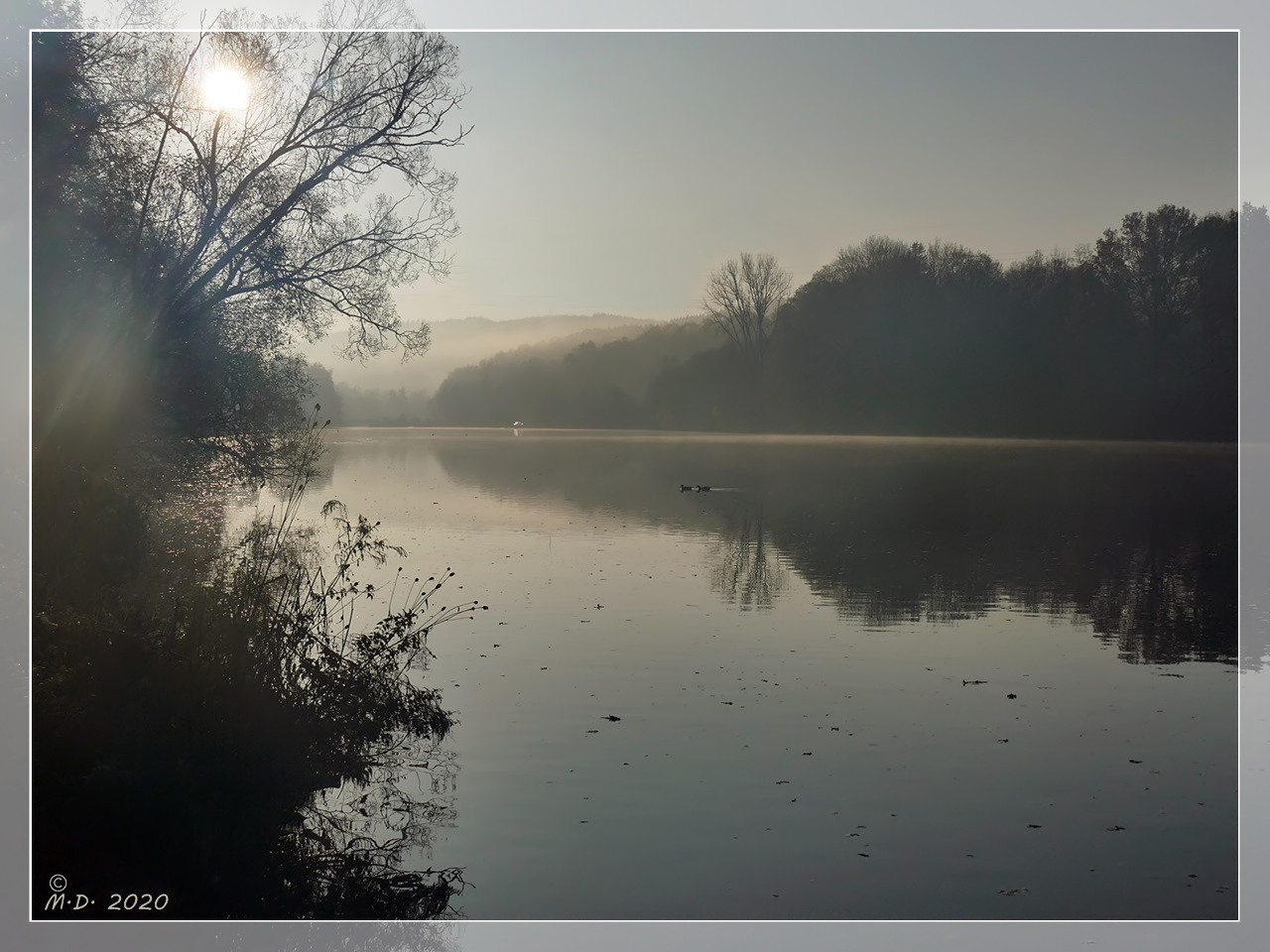 Morgens am See