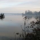 Morgens am See