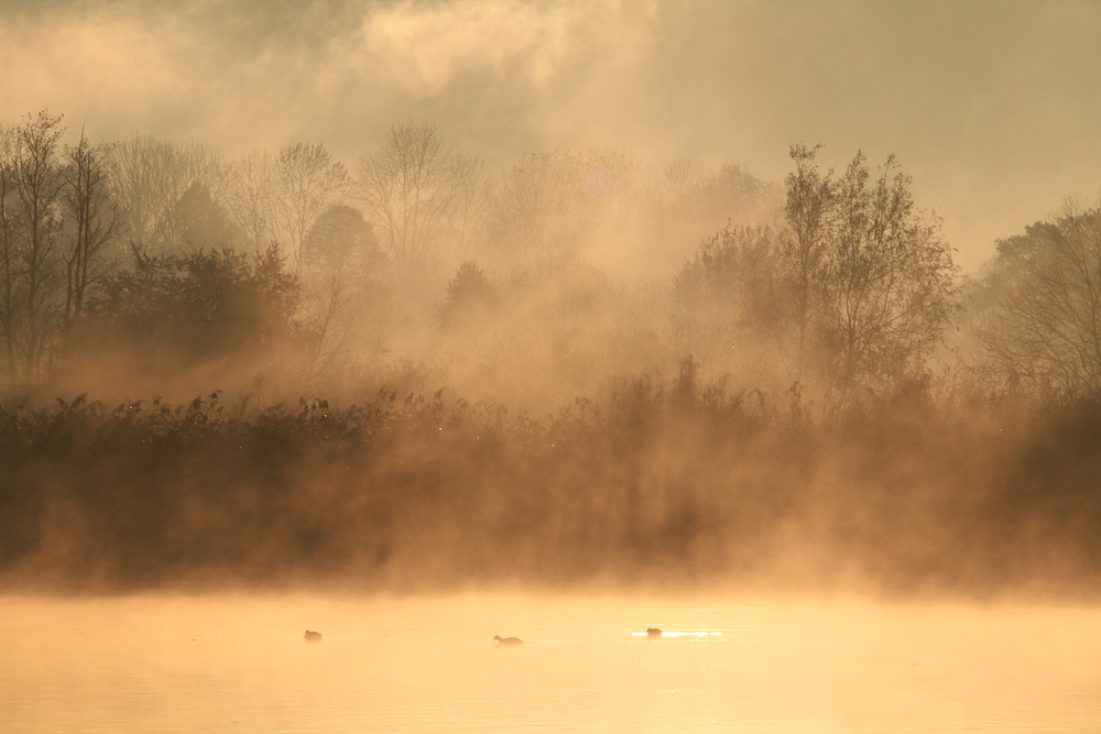 Morgens am See 4