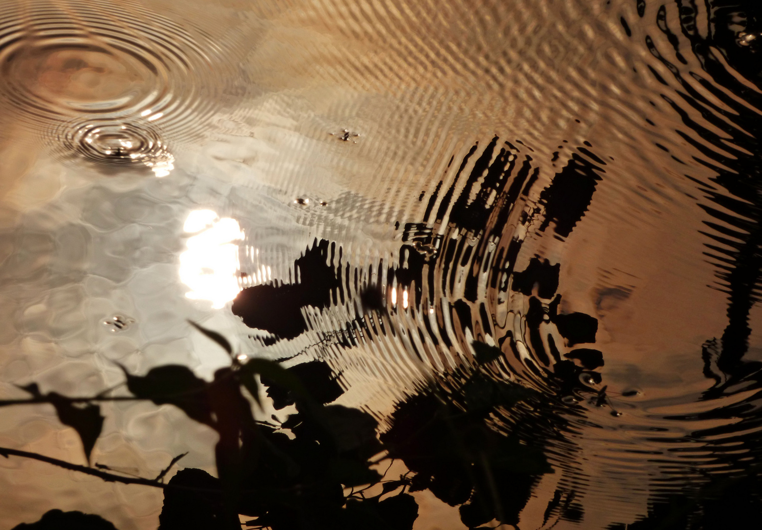 Morgens am See