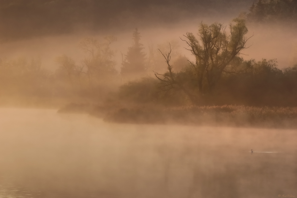 Morgens am See