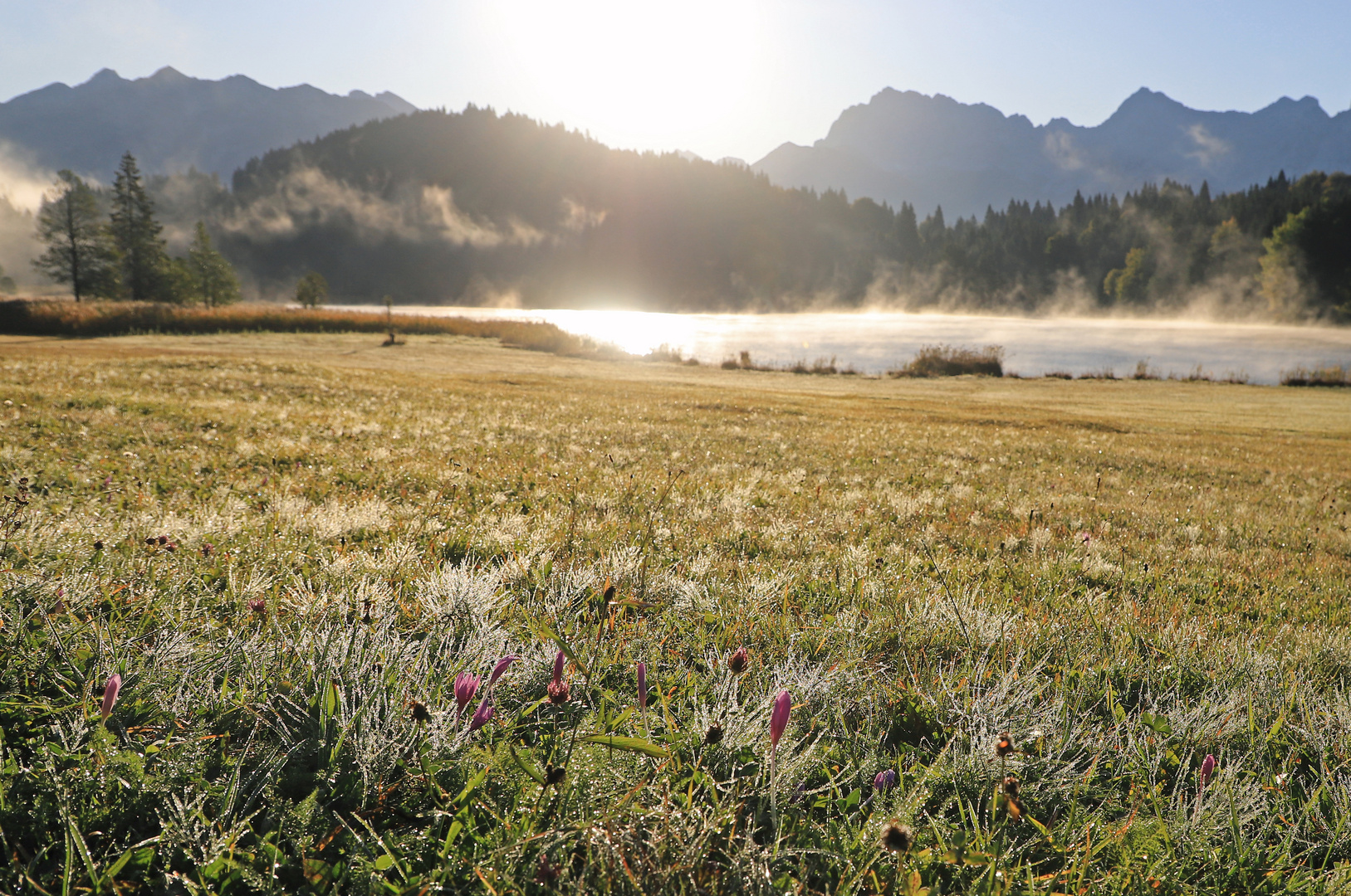 Morgens am See