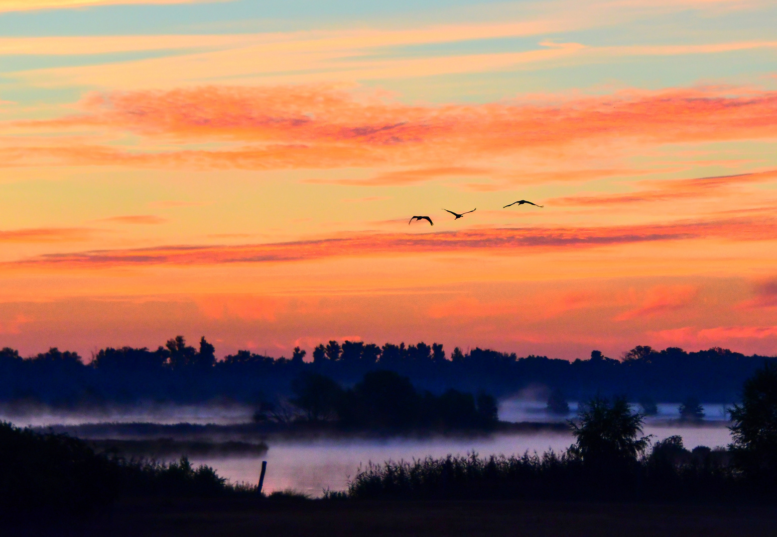 Morgens am See