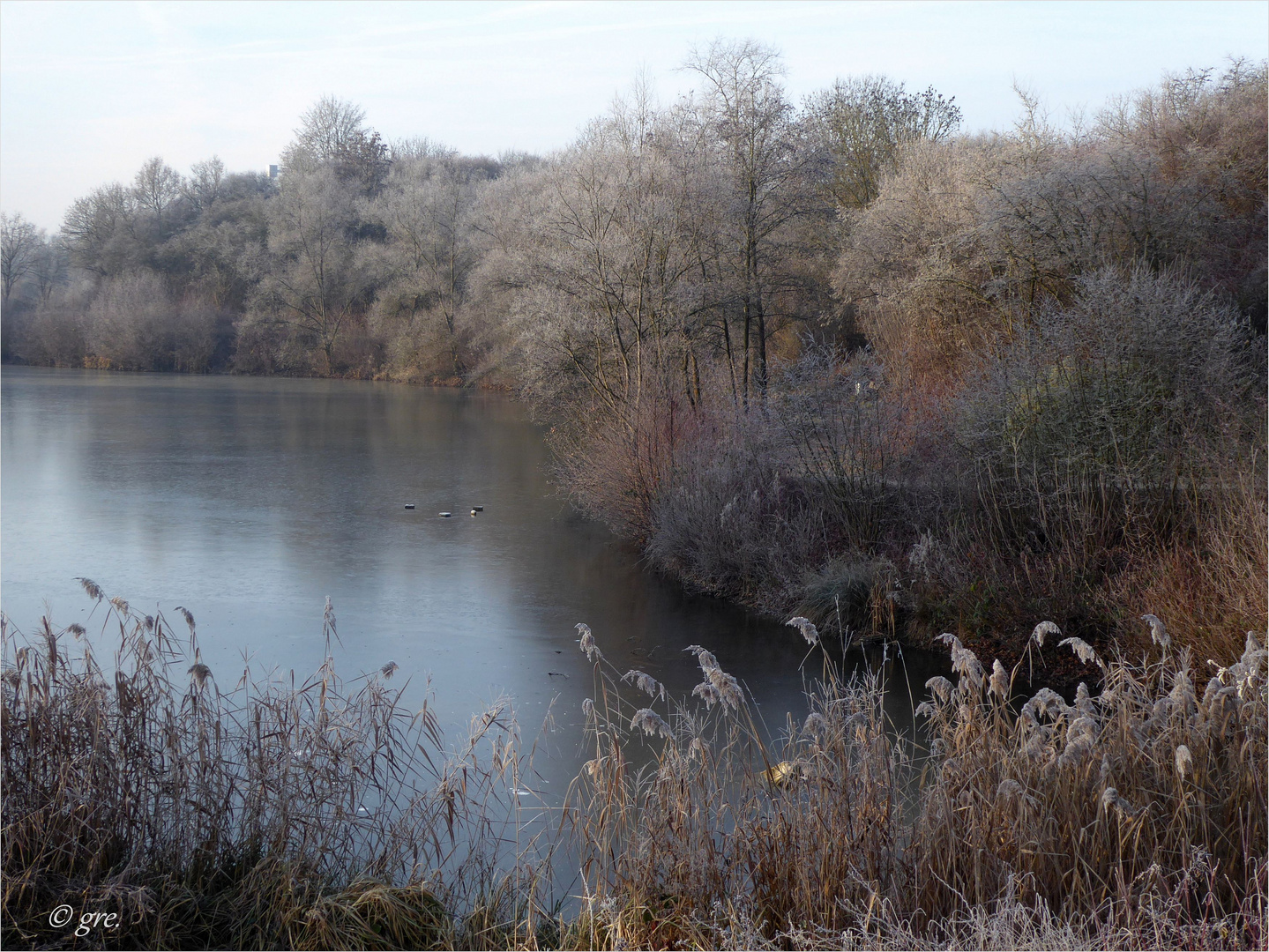 Morgens am See