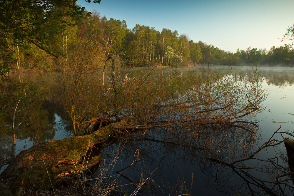 Morgens am See...