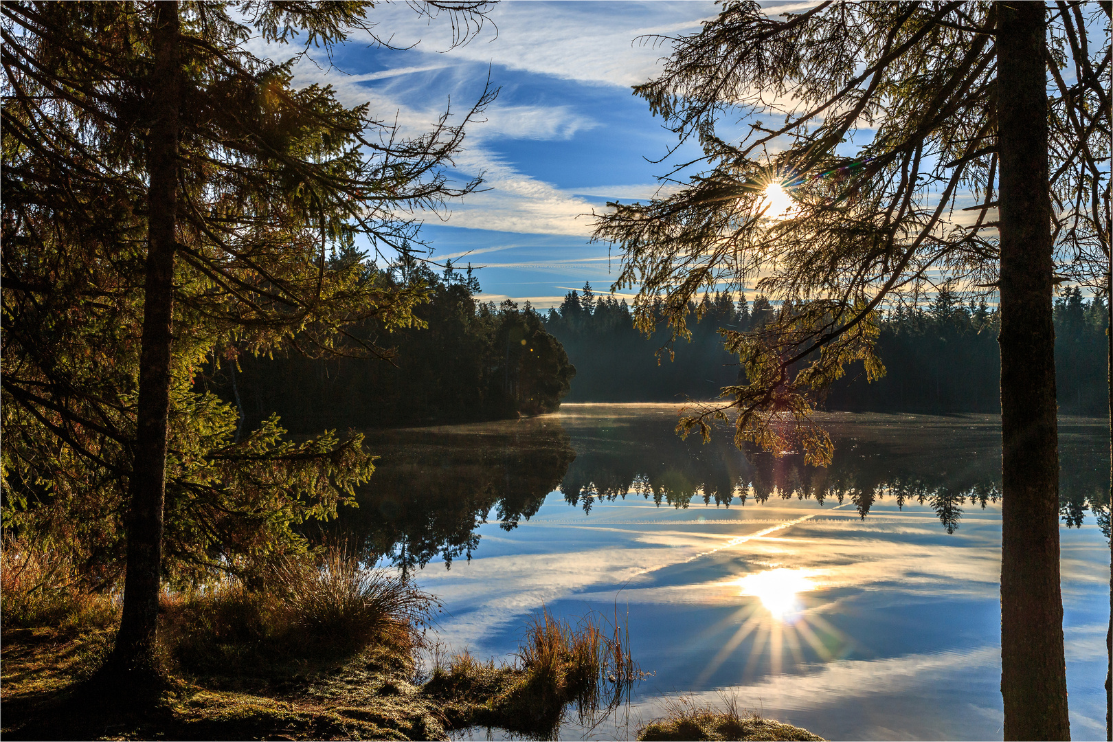 morgens am See