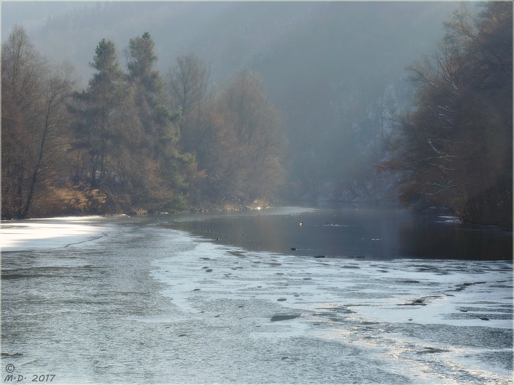 Morgens am See