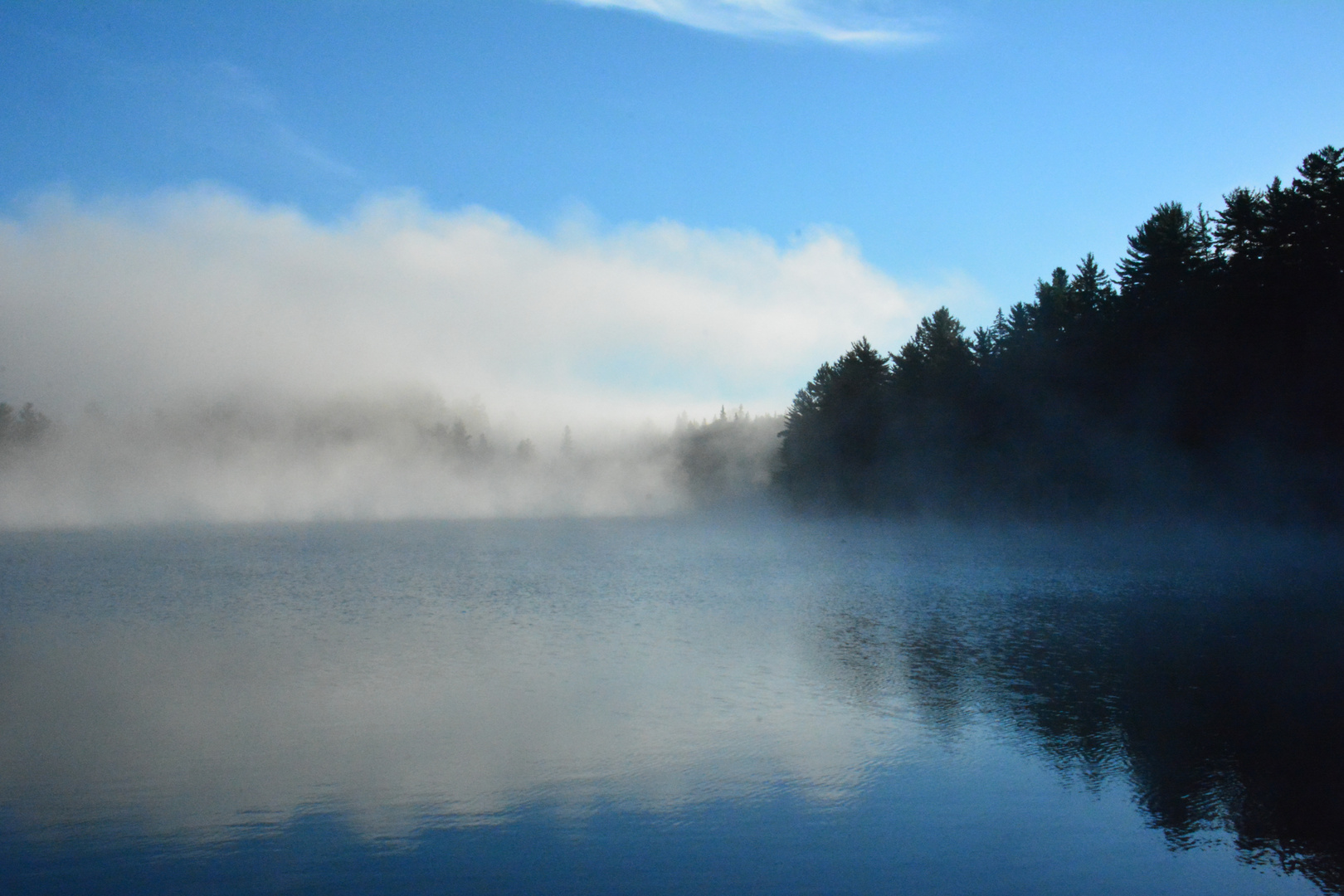 Morgens am See