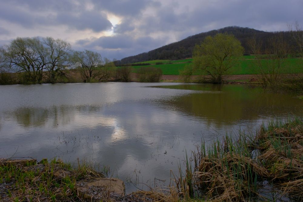 morgens am See