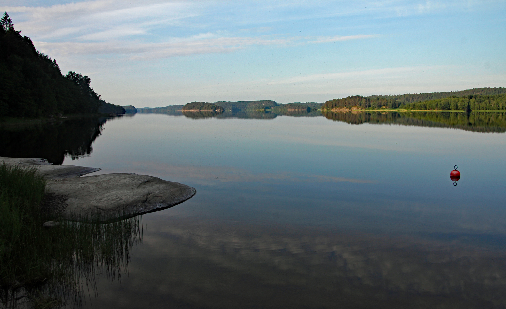 Morgens am See 