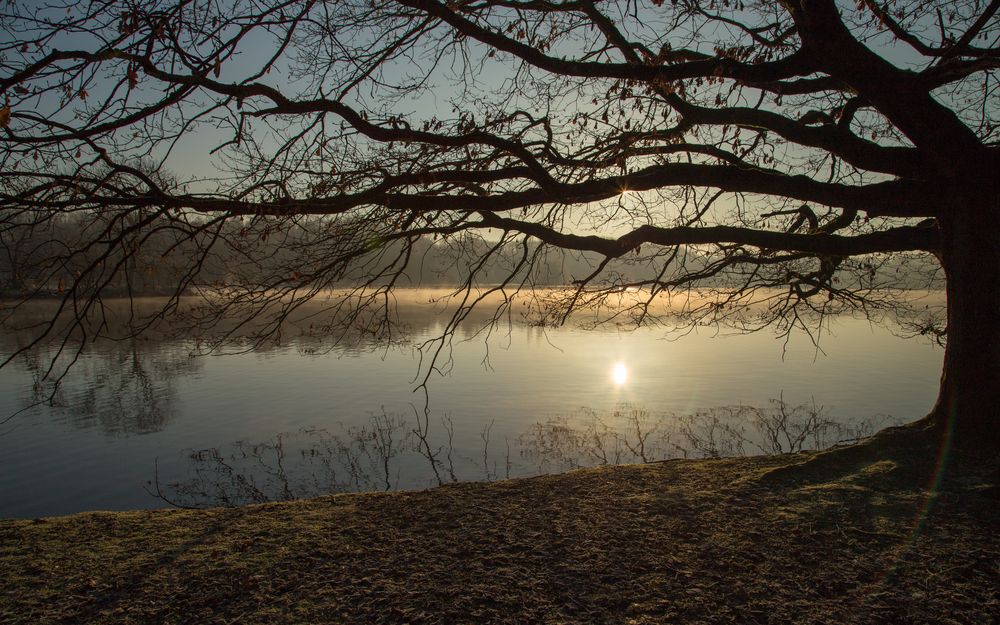 Morgens am See