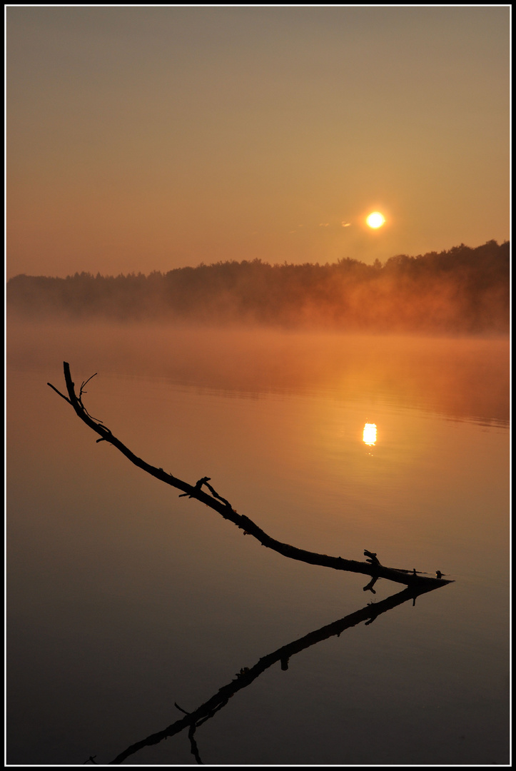 Morgens am See